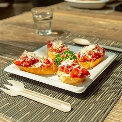 バガス使い捨てプレート